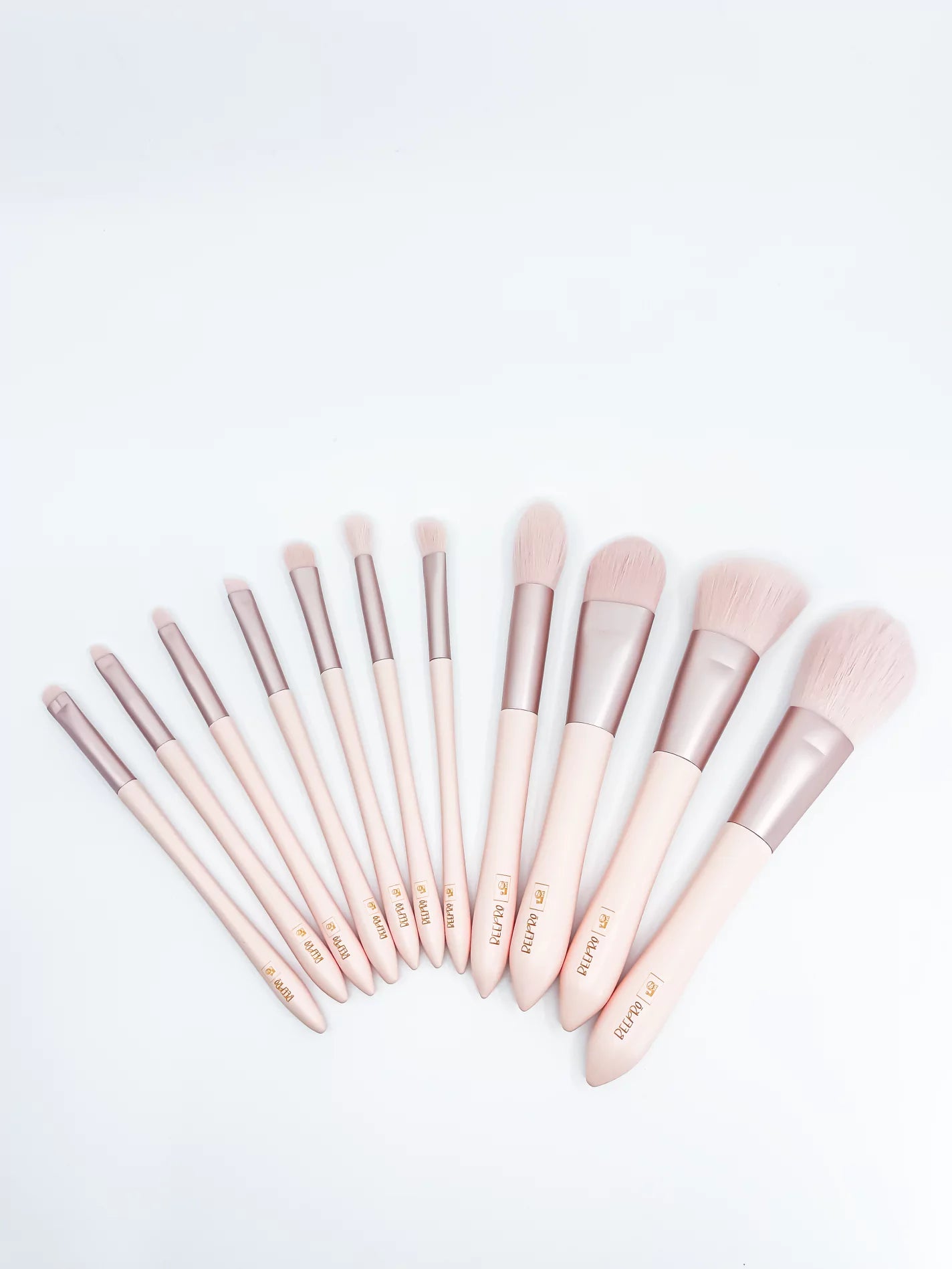 The ProForm Collection Brush Kit