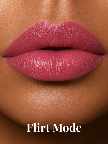 BeePro SignaturePro Matte Lip Kit