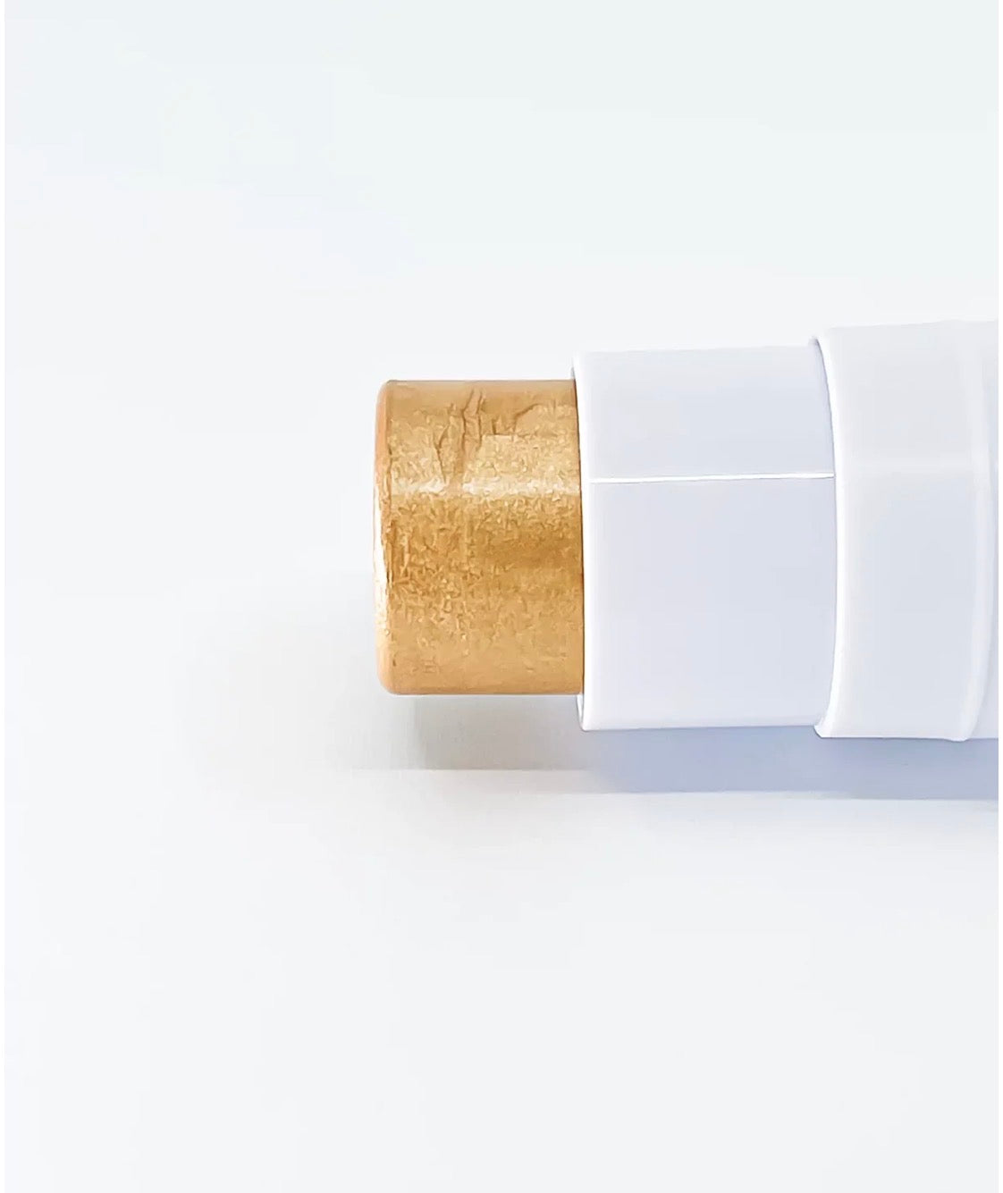 Highlighter and Lip Kit- Treasured